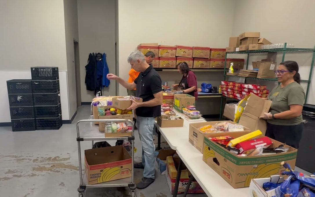 Volunteer placing food into boxes on a metal cart at the end of the packing line